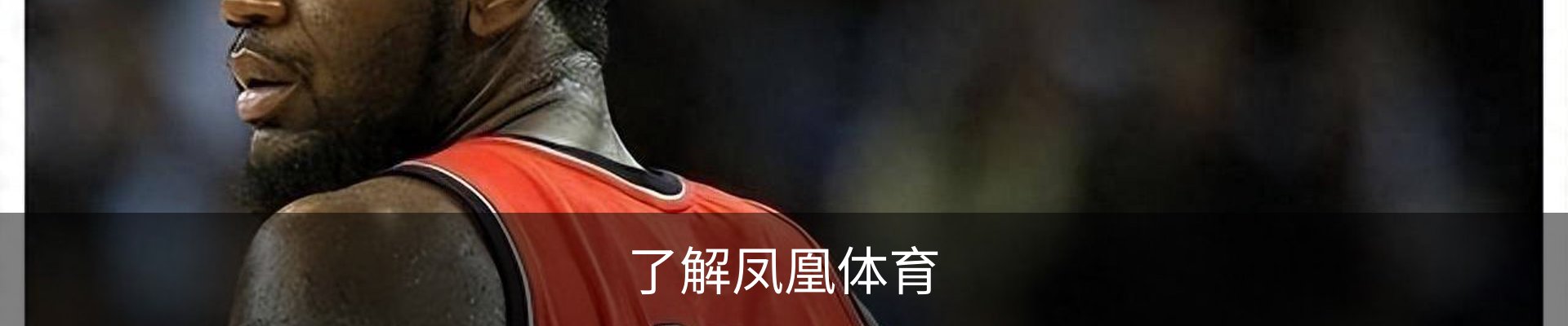 了解凤凰体育